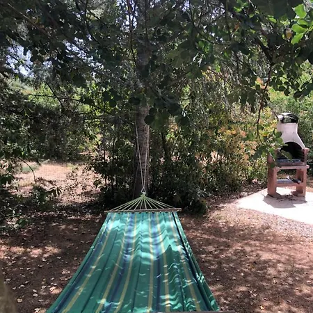 Messera * מרטינה פרנקה
